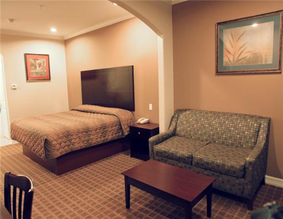 Palace Inn Copperfield Cypress Quarto foto